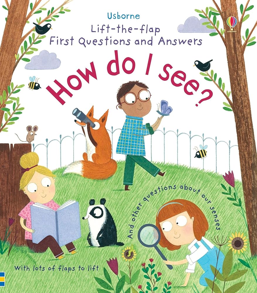 How Do I See? (Lift the Flap First Questions and Answers) cover image