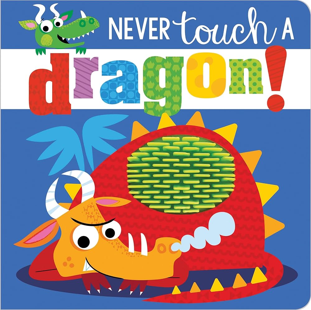 Never Touch A Dragon – shop.akindemy.com