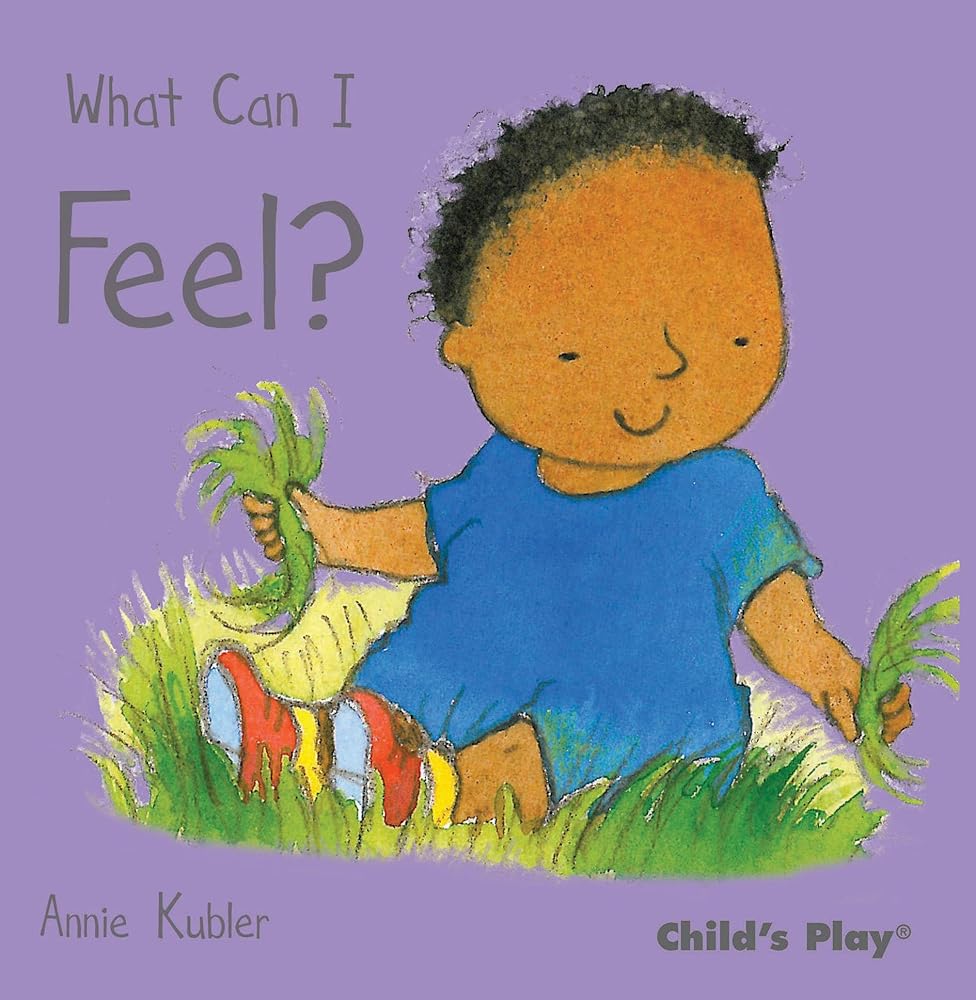 What Can I Feel?: Small Senses Series cover image