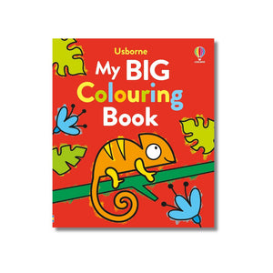 Activity Book: My Big Colouring Book