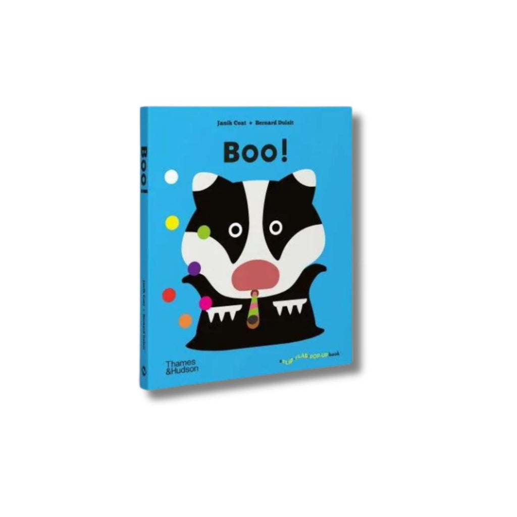 Agent Boo Book Boo! – shop.akindemy.com